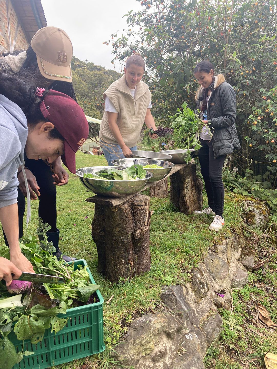 Procesos artesanales de recolección agrícola consciente en Choachí Cundinamarca